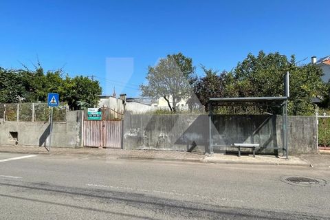 Helårsgrund i Ovar, Aveiro, Ovar - € 55.000 | Ref: 106.90 - foto 2