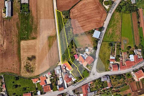 Helårsgrund i Ovar, Aveiro, Ovar - € 55.000 | Ref: 106.90 - foto 5