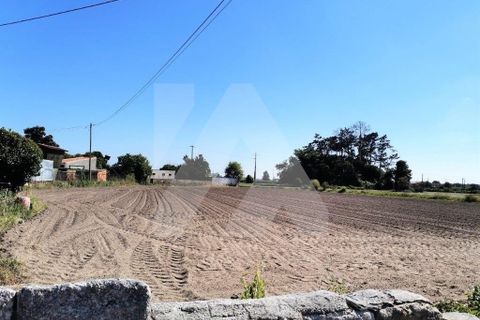 Helårsgrund i Ovar, Aveiro, Ovar - € 125.000 | Ref: 104.337 - foto 2