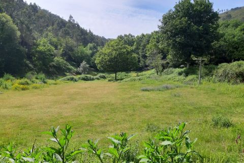 Tomt i Terras de Bouro, Braga, Terras de Bouro - € 50 000 | Ref: 170037 - foto 4