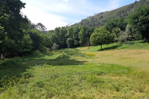 Tomt i Terras de Bouro, Braga, Terras de Bouro - € 50 000 | Ref: 170037 - foto 5