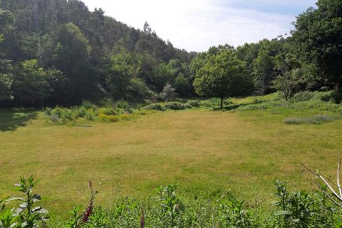 Tomt i Terras de Bouro, Braga, Terras de Bouro - € 50 000 | Ref: 170037 - foto 7