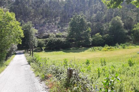 Tomt i Terras de Bouro, Braga, Terras de Bouro - € 50 000 | Ref: 170037 - foto 8