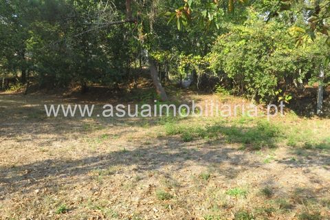 Helårsgrund i Amares, Braga, Amares - € 20.000 | Ref: 151125 - foto 3