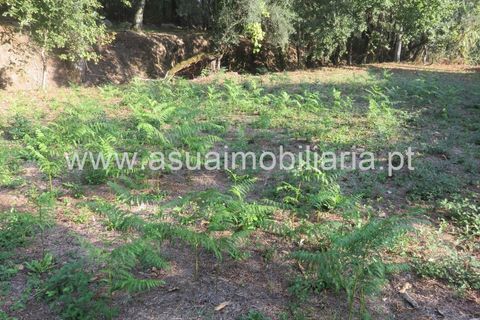 Helårsgrund i Amares, Braga, Amares - € 20.000 | Ref: 151125 - foto 5