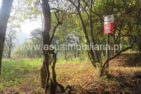 Helårsgrund i Amares, Braga, Amares - € 20.000 | Ref: 151125 - foto 8