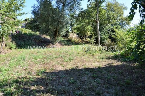 Helårsgrund i Amares, Braga, Amares - € 47.000 | Ref: 190941 - foto 4