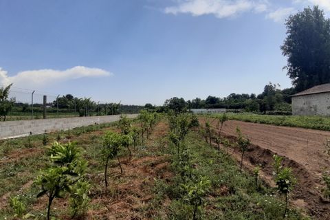 Helårsgrund i Amares, Braga, Amares - € 106.500 | Ref: 211350 - foto 1