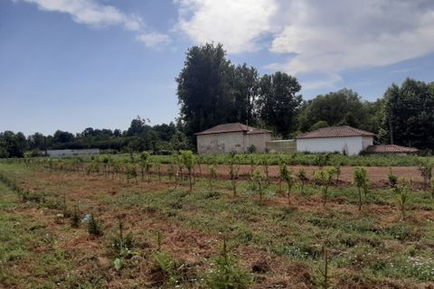Helårsgrund i Amares, Braga, Amares - € 106.500 | Ref: 211350 - foto 4