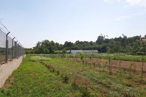 Helårsgrund i Amares, Braga, Amares - € 106.500 | Ref: 211350 - foto 5