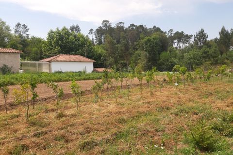 Helårsgrund i Amares, Braga, Amares - € 106.500 | Ref: 211350 - foto 6