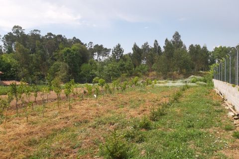 Helårsgrund i Amares, Braga, Amares - € 106.500 | Ref: 211350 - foto 7