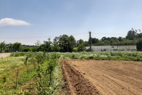 Helårsgrund i Amares, Braga, Amares - € 106.500 | Ref: 211350 - foto 8