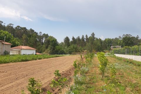 Helårsgrund i Amares, Braga, Amares - € 106.500 | Ref: 211350 - foto 9