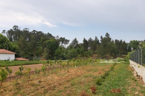 Helårsgrund i Amares, Braga, Amares - € 106.500 | Ref: 211350 - foto 10