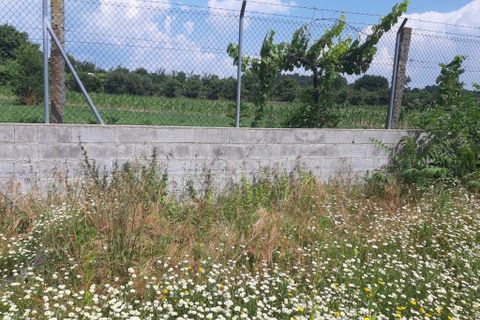 Helårsgrund i Amares, Braga, Amares - € 106.500 | Ref: 211350 - foto 11