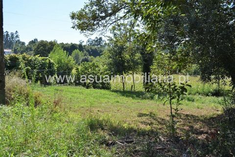 Farm i Amares, Braga, Amares - € 230.000 | Ref: 190942 - foto 17
