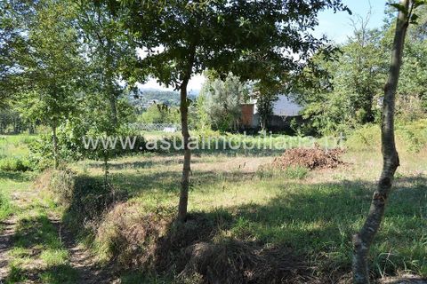 Farm i Amares, Braga, Amares - € 230.000 | Ref: 190942 - foto 19