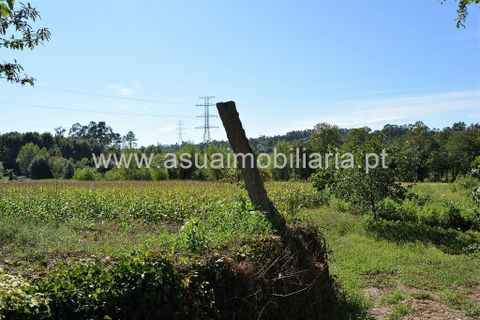 Farm i Amares, Braga, Amares - € 230.000 | Ref: 190942 - foto 22