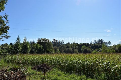 Farm i Amares, Braga, Amares - € 230.000 | Ref: 190942 - foto 23