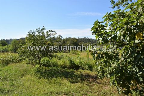 Farm i Amares, Braga, Amares - € 230.000 | Ref: 190942 - foto 24