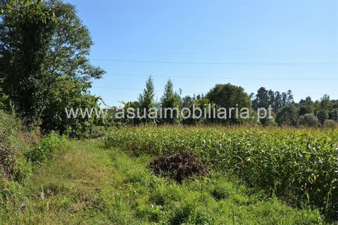 Farm i Amares, Braga, Amares - € 230.000 | Ref: 190942 - foto 25