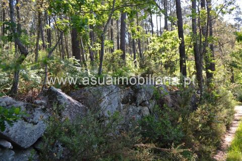 Helårsgrund i Amares, Braga, Amares - € 45.000 | Ref: 170181 - foto 2