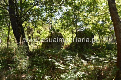 Helårsgrund i Amares, Braga, Amares - € 45.000 | Ref: 170181 - foto 3