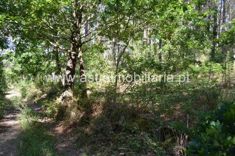 Helårsgrund i Amares, Braga, Amares - € 45.000 | Ref: 170181 - foto 4