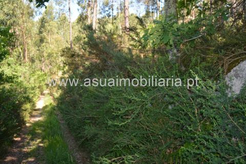 Helårsgrund i Amares, Braga, Amares - € 45.000 | Ref: 170181 - foto 5