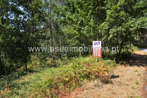 Helårsgrund i Amares, Braga, Amares - € 36.500 | Ref: 170342 - foto 2