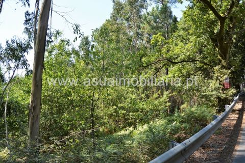 Helårsgrund i Amares, Braga, Amares - € 36.500 | Ref: 170342 - foto 4