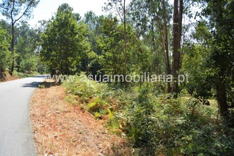 Helårsgrund i Amares, Braga, Amares - € 36.500 | Ref: 170342 - foto 6