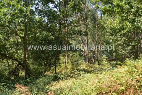 Helårsgrund i Amares, Braga, Amares - € 36.500 | Ref: 170342 - foto 8