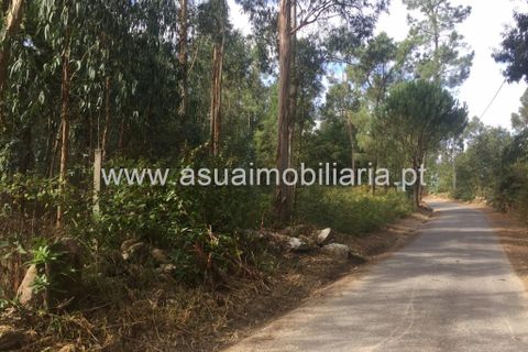Helårsgrund i Amares, Braga, Amares - € 32.000 | Ref: 180370 - foto 2