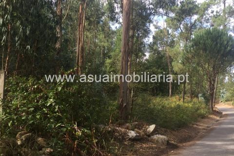 Helårsgrund i Amares, Braga, Amares - € 32.000 | Ref: 180370 - foto 3