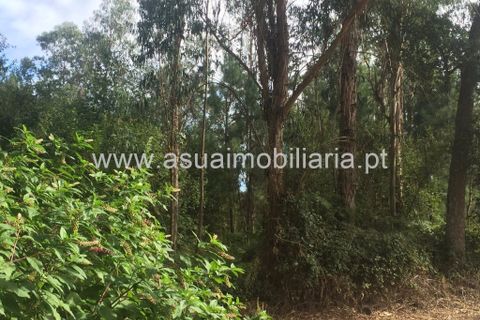 Helårsgrund i Amares, Braga, Amares - € 32.000 | Ref: 180370 - foto 4