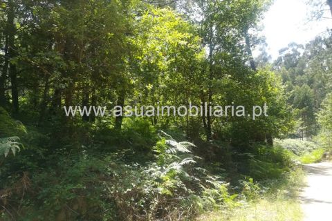 Helårsgrund i Amares, Braga, Amares - € 85.000 | Ref: 190824 - foto 2