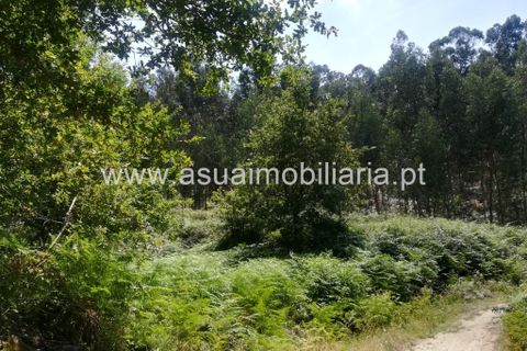 Helårsgrund i Amares, Braga, Amares - € 85.000 | Ref: 190824 - foto 3