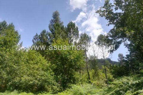 Helårsgrund i Amares, Braga, Amares - € 85.000 | Ref: 190824 - foto 4