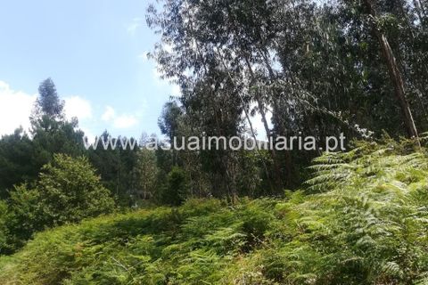 Helårsgrund i Amares, Braga, Amares - € 85.000 | Ref: 190824 - foto 5