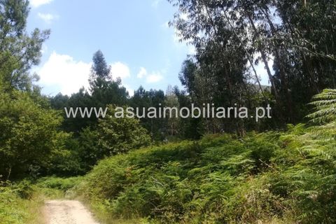Helårsgrund i Amares, Braga, Amares - € 85.000 | Ref: 190824 - foto 6