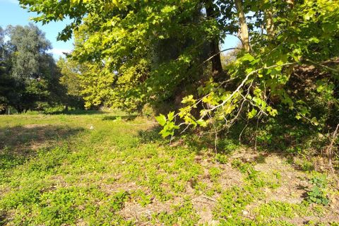 Helårsgrund i Amares, Braga, Amares - € 18.000 | Ref: 201064 - foto 3