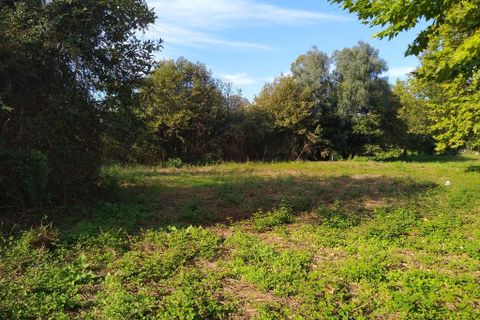 Helårsgrund i Amares, Braga, Amares - € 18.000 | Ref: 201064 - foto 4