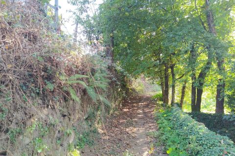Helårsgrund i Amares, Braga, Amares - € 18.000 | Ref: 201064 - foto 6