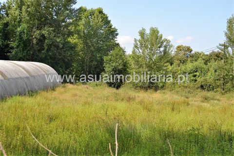 Helårsgrund i Amares, Braga, Amares - € 49.500 | Ref: 180610 - foto 5