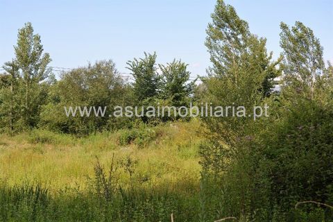 Helårsgrund i Amares, Braga, Amares - € 49.500 | Ref: 180610 - foto 6