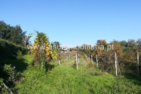 Helårsgrund i Amares, Braga, Amares - € 180.000 | Ref: 180655 - foto 2