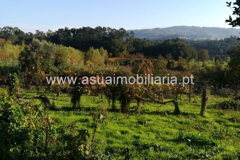 Helårsgrund i Amares, Braga, Amares - € 180.000 | Ref: 180655 - foto 4