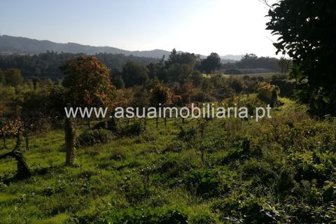 Helårsgrund i Amares, Braga, Amares - € 180.000 | Ref: 180655 - foto 5